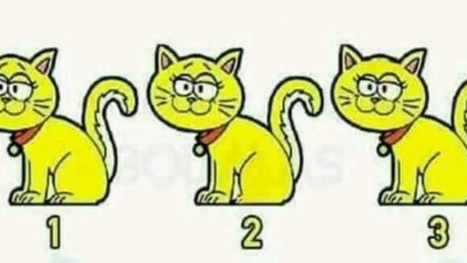 mozgalica sa mackama