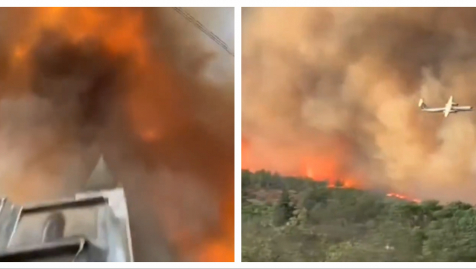 Printscreen/X/ZT_Followers