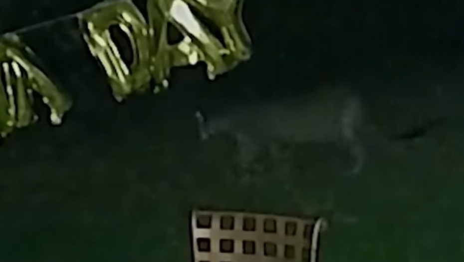 puma napala devojčicu