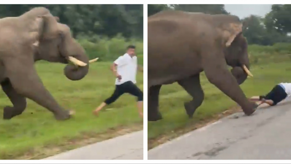 Foto: Printscreen/X/Gautam