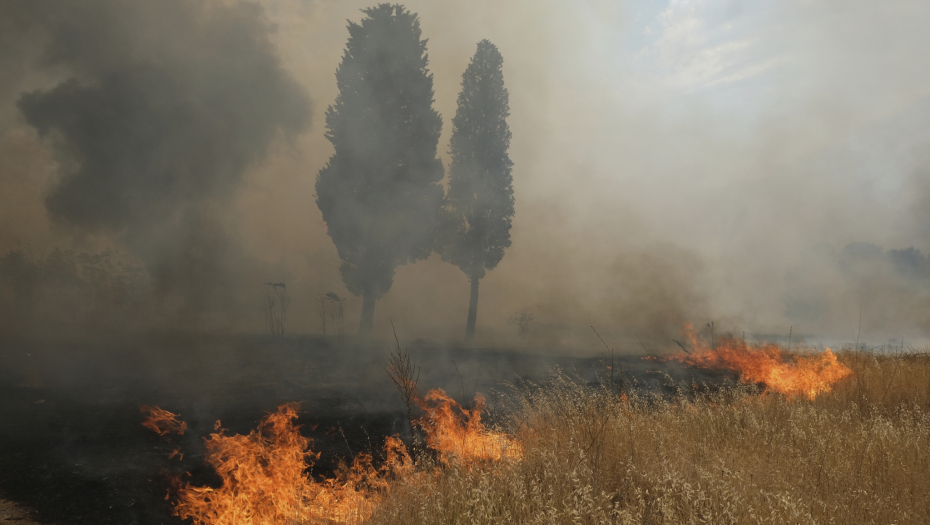 AP Photo/Risto Bozovic