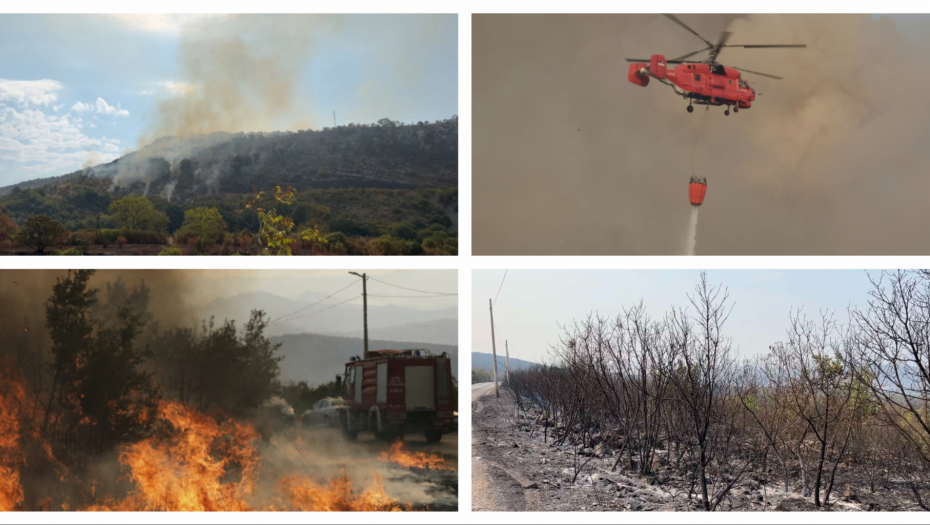 Foto: RINA/Tanjug/AP Photo/Risto Bozovic