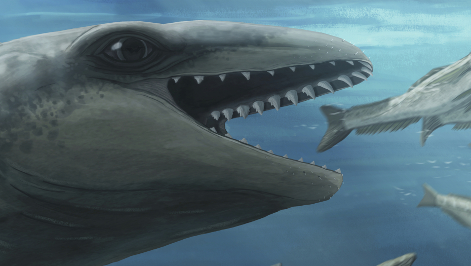 Tanjug/Ruairidh Duncan via AP