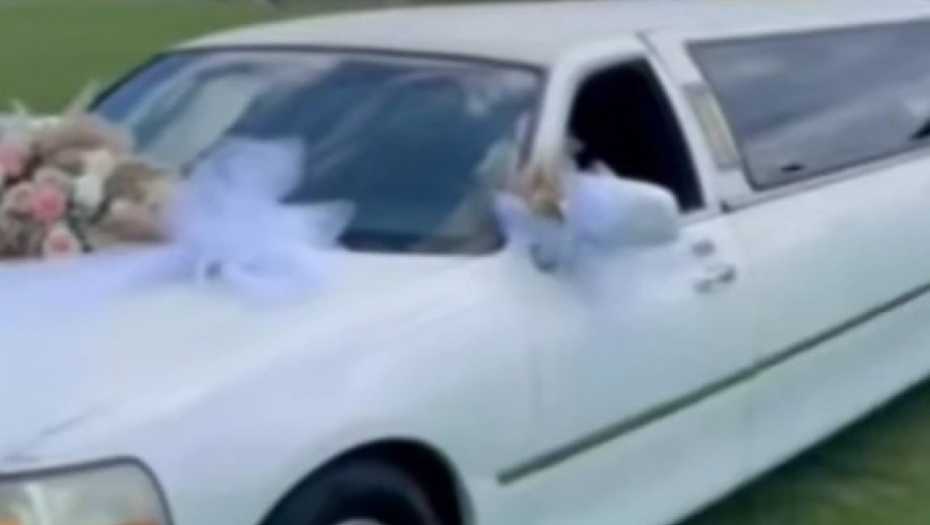 mlada stigla na svadbu