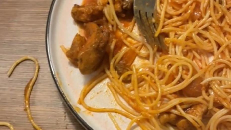 mačka pojela špagete