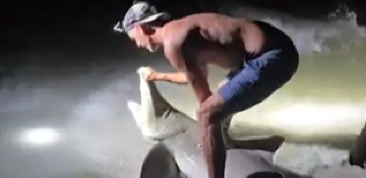 Printscreen/X/7NEWS Australia