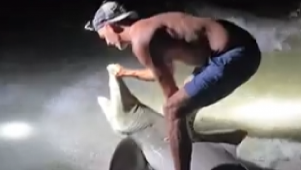 Printscreen/X/7NEWS Australia