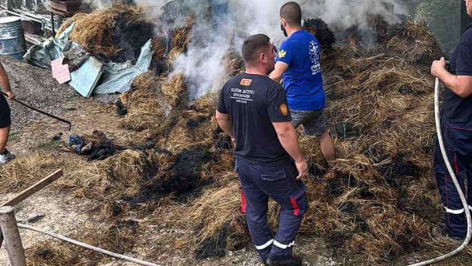 FOTO: RINA/Služba zaštite i spašavanja BP