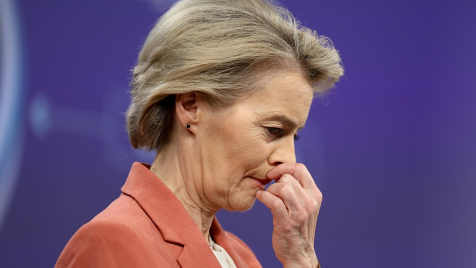 Alexandros Michailidis / Shutterstock.com