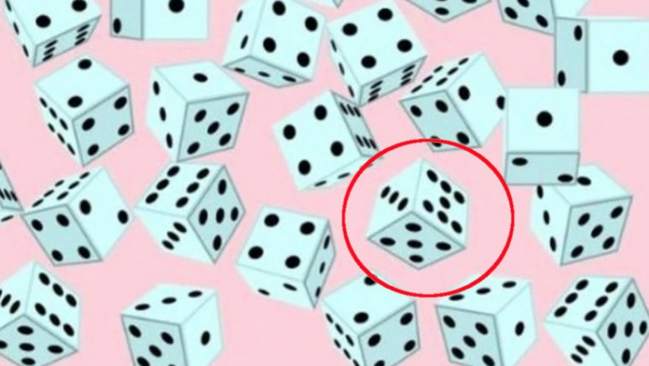 mozgalica sa kockicama