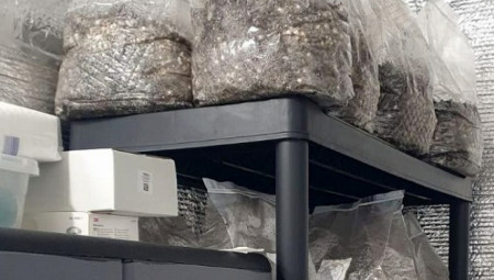 Osumnjičenom se stavlja na teret da je uzgajao opojnu drogu kanabis, tzv.  marihuanu, koja je kod njega pronađena dana 31. 10. 2025. godine, u količini od oko 9 kg, koje je spakovao u više manjih kesa, a radi ogranizovanja prodaje droge drugim licima