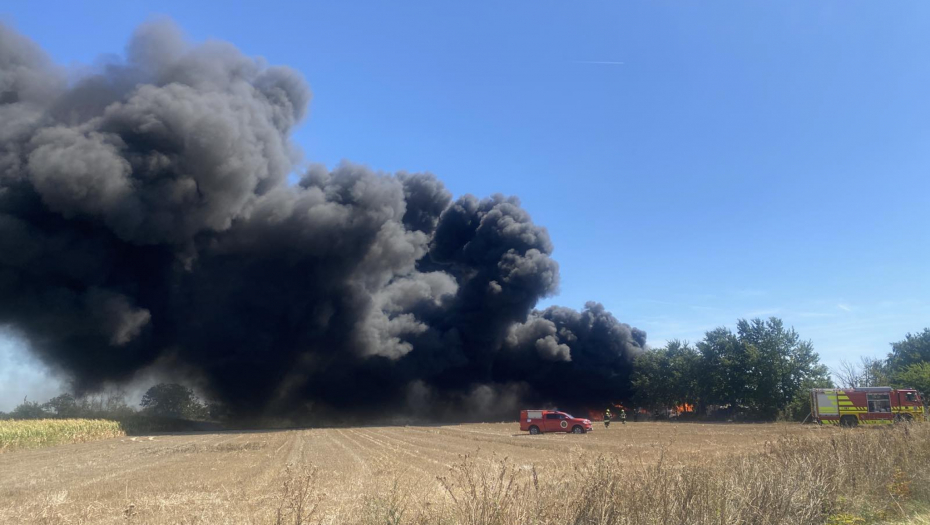 FOTO TANJUG/ Saška Drobnjak/ bg