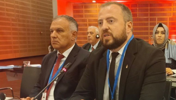 Aleksandar Mirković