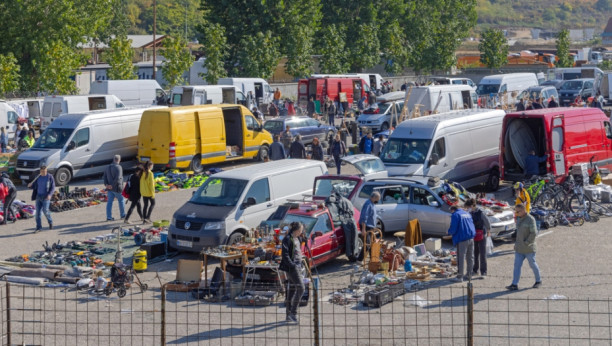 Foto: Baloncici / Shutterstock.com