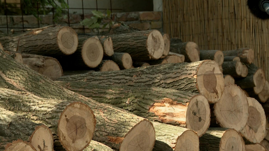 Obraćanje medijima predsednika Srbije