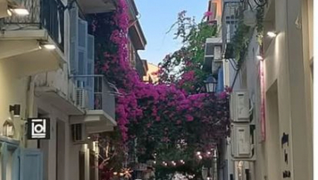 Do početka zime vaša terasa će sa ovim cvećem izgledati atraktivno i raskošno