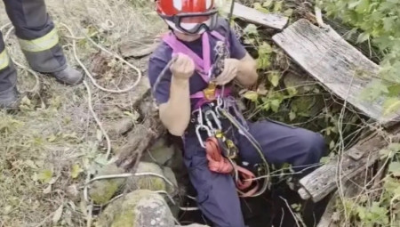 Incident se dogodio u domaćinstvu, kada je jedna životinja upala u bunar dubok 10 metara