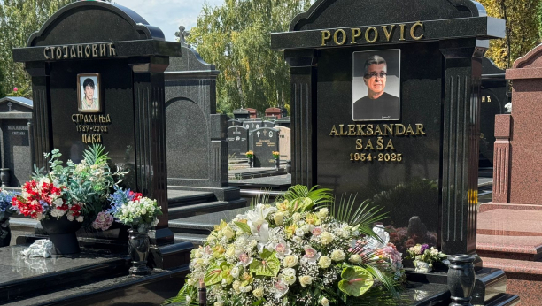 Saša Popović pomen