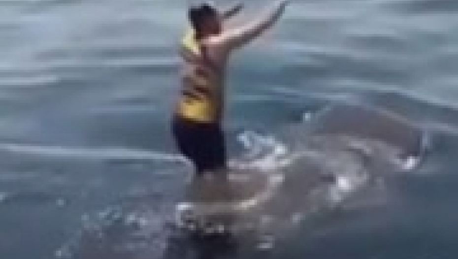 ria novosti printscreen