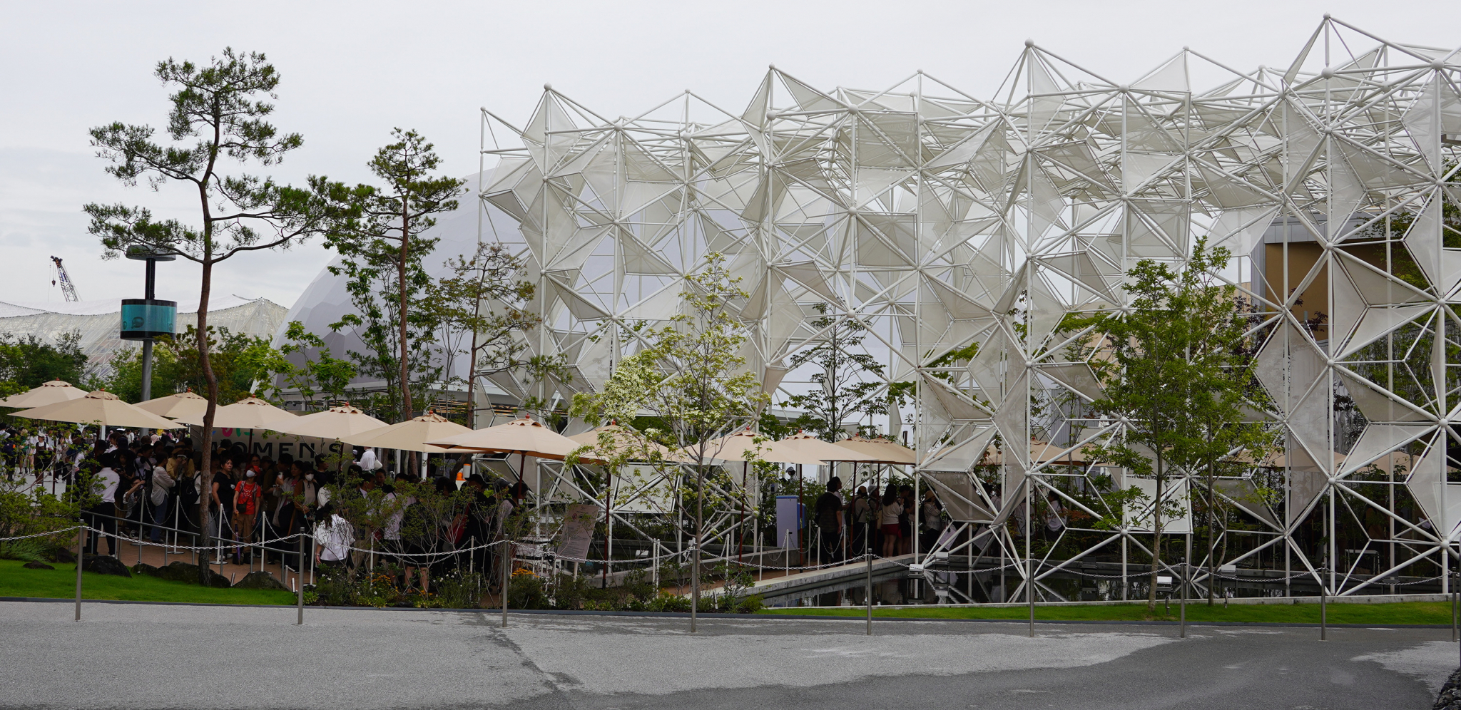 Foto: Dragan Kujundžič