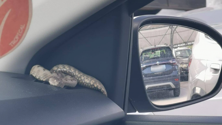 Printscreen/Facebook/Vatrogasci Umag