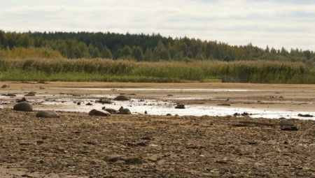 Dok je šetao obalom Rajne u Düsseldorfu, Rustam Wagner (44), tehnički dizajner proizvoda, doživeo je pravi paleontološki šok – pronašao je zub mamuta težak oko četiri kilograma, star najmanje 15.000 godina