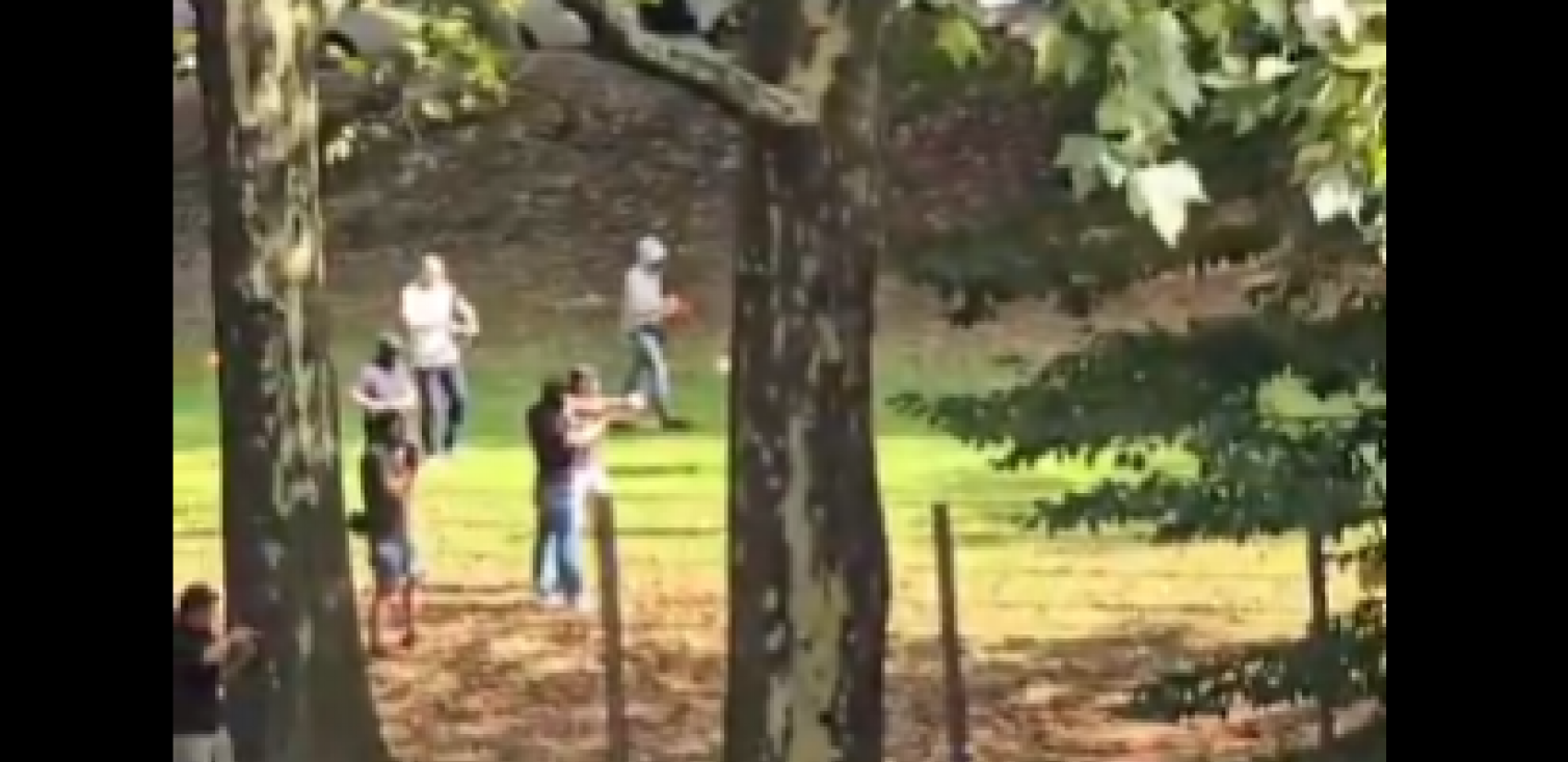 Printscreen/X/Täglicher Wahnsinn News