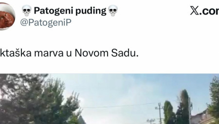 Na društvenim mrežama blokaderi u očaju okrenuli su se uvredama na račun onih koji su se u Novom Sadu okupili protiv blokada