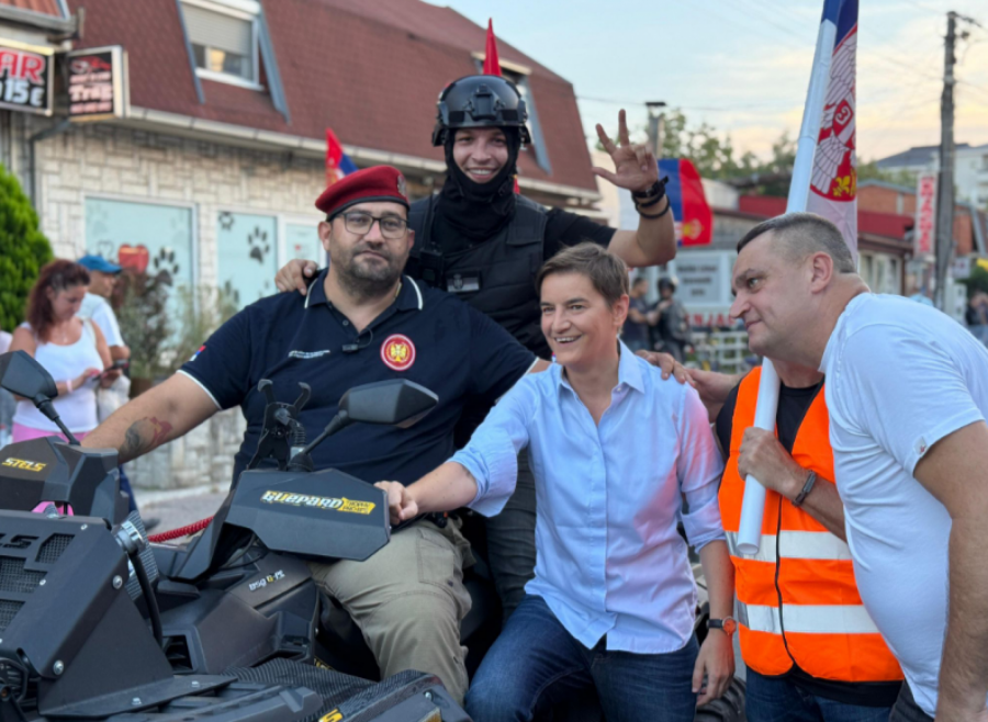 ana brnabić