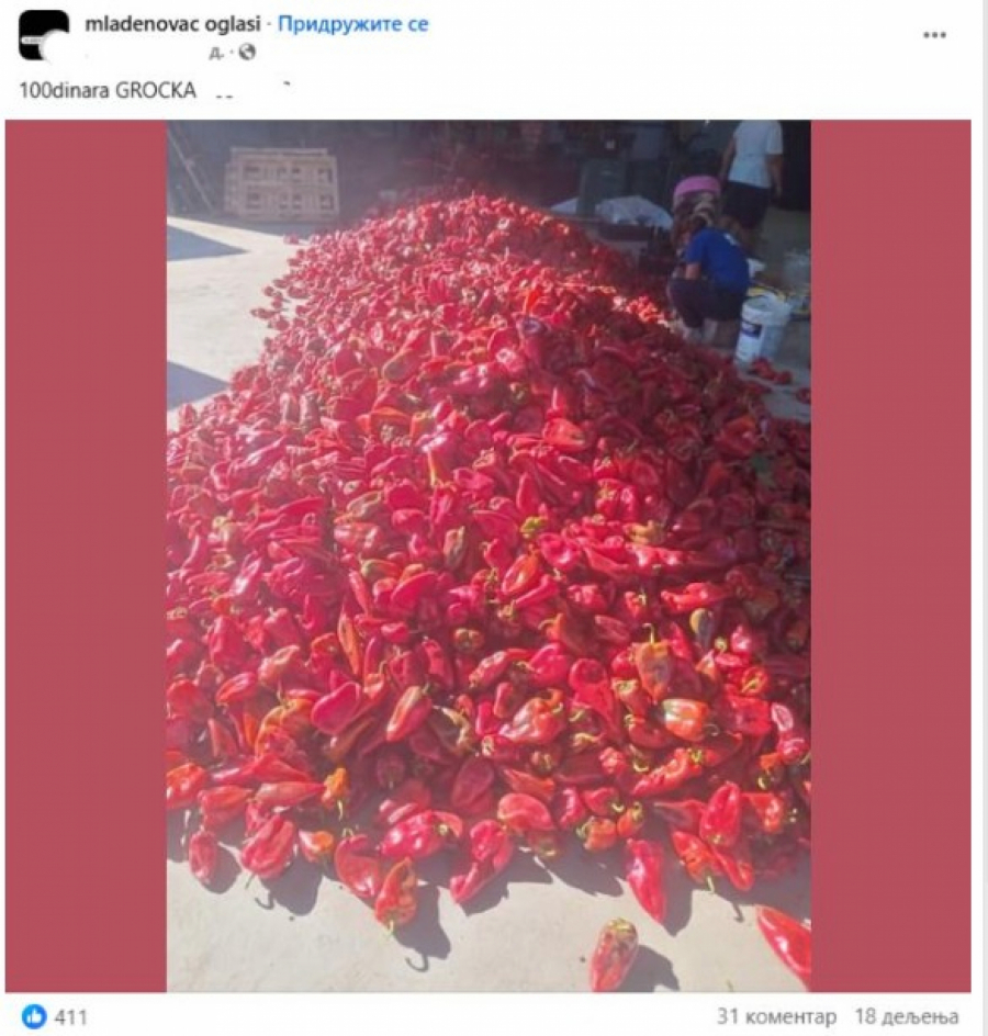 Cena paprike u grockoj