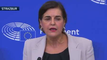 Kopredsednica Evropskih zelenih Vula Ceci tvrdi da predsednik Srbije Aleksandar Vučić "stvara dodatne tenzije i konfuzije"