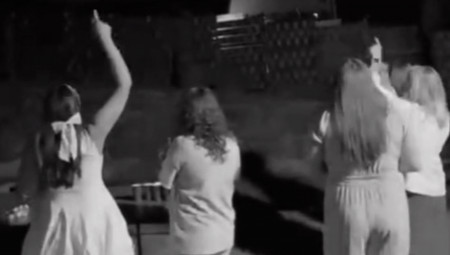 Dvorište do dvorišta, pesma iz srca i trenutak koji niko nije očekivao – upravo je to spojilo devojačko i momačko veče u komšiluku u Hrvatskoj, a snimak je ubrzo postao viralni hit na TikToku