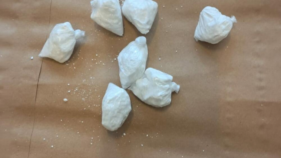 droga hapšenje filip jovović