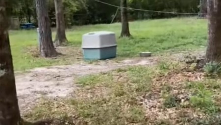 Kupovina nove kuće često donosi radost, uzbuđenje i novu životnu stranicu. Međutim, ponekad novi vlasnici nekretnine naiđu na šokantna iznenađenja koja nikako nisu bila deo planova