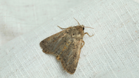 Započnite jutro nasmejani uz Alo vic dana