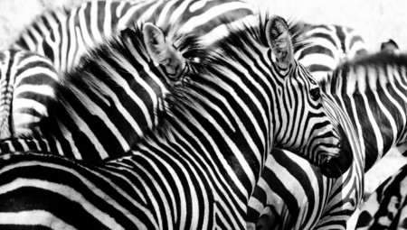 Dok neke iluzije testiraju vašu inteligenciju, a druge vaš vid, ova vam navodno može otkriti unutrašnju snagu