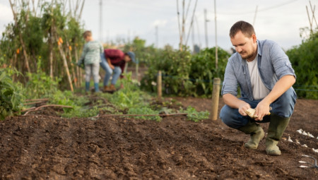 I dok mnogi misle da je nakon leta najbolje ostaviti baštu da miruje do proleća, istina je da upravo sada možete učiniti mnogo toga