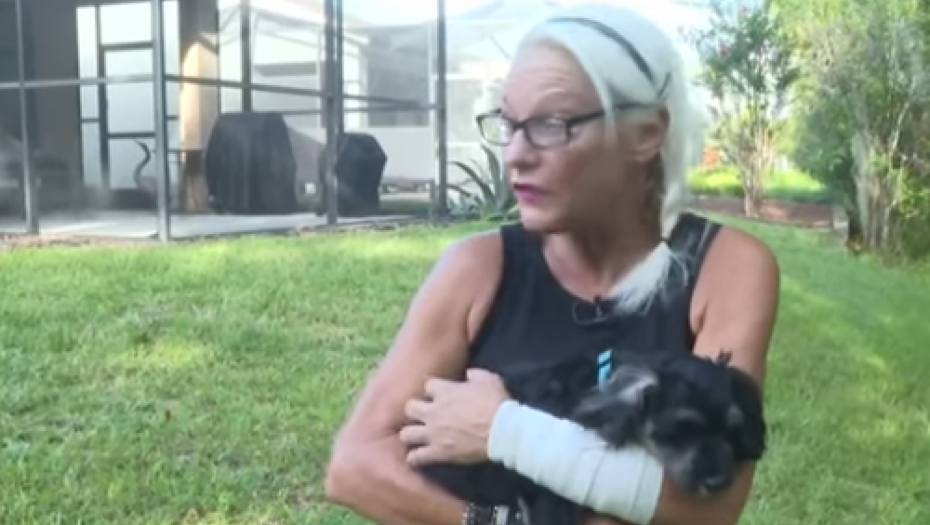 Ženu se borila sa aligatorom