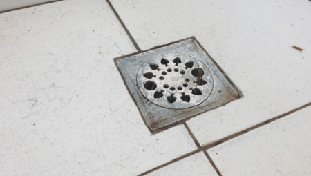 Sinoć sam čuo grebanje u kupatilu. Kad sam ušao, video sam njegove nožice kako grebu po poklopcu