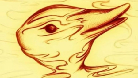 Ova mozgalica nije samo izazov za vaš vid – ona istovremeno funkcioniše i kao test ličnosti.