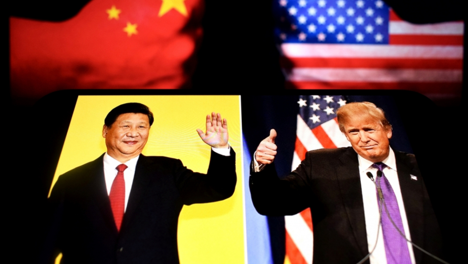 Foto: miss.cabul / Shutterstock.com