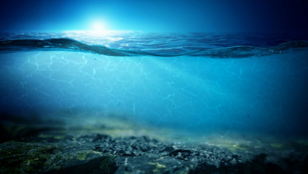 U Južnoj Koreji postoji prirodni fenomen nazvan "Čudo Džindoa" tokom kog se mora bukvalno razdvaja na 2 dela.