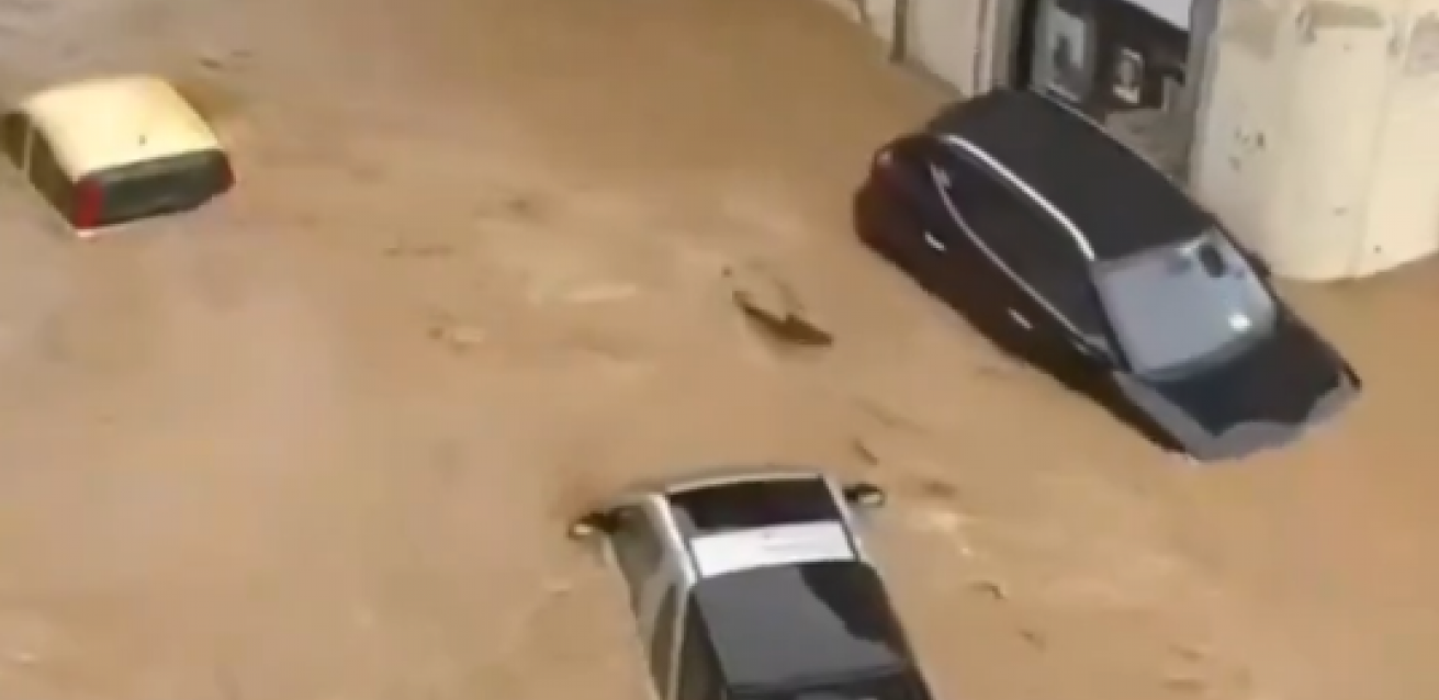 Foto: Printscreen/x/Based & Viral