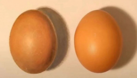 Sve što treba da uradite je da dobro pogledate fotografiju i pokušate da identifikujete pravo jaje za najviše 10 sekundi