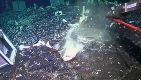 Koristeći daljinski upravljano podvodno vozilo, stručnjaci sa Instituta Schmidt Ocean iz Kalifornije istražili su do sada nepoznate predele okeana i otkrili mrežu tajanstvenih podvodnih pećina