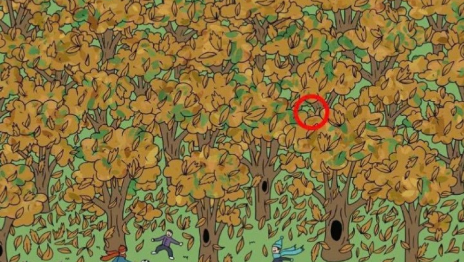 mozgalica sa vevericom