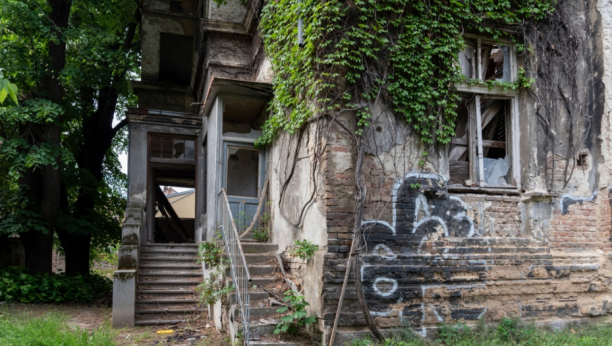 Foto: Dave Colman / Shutterstock.com