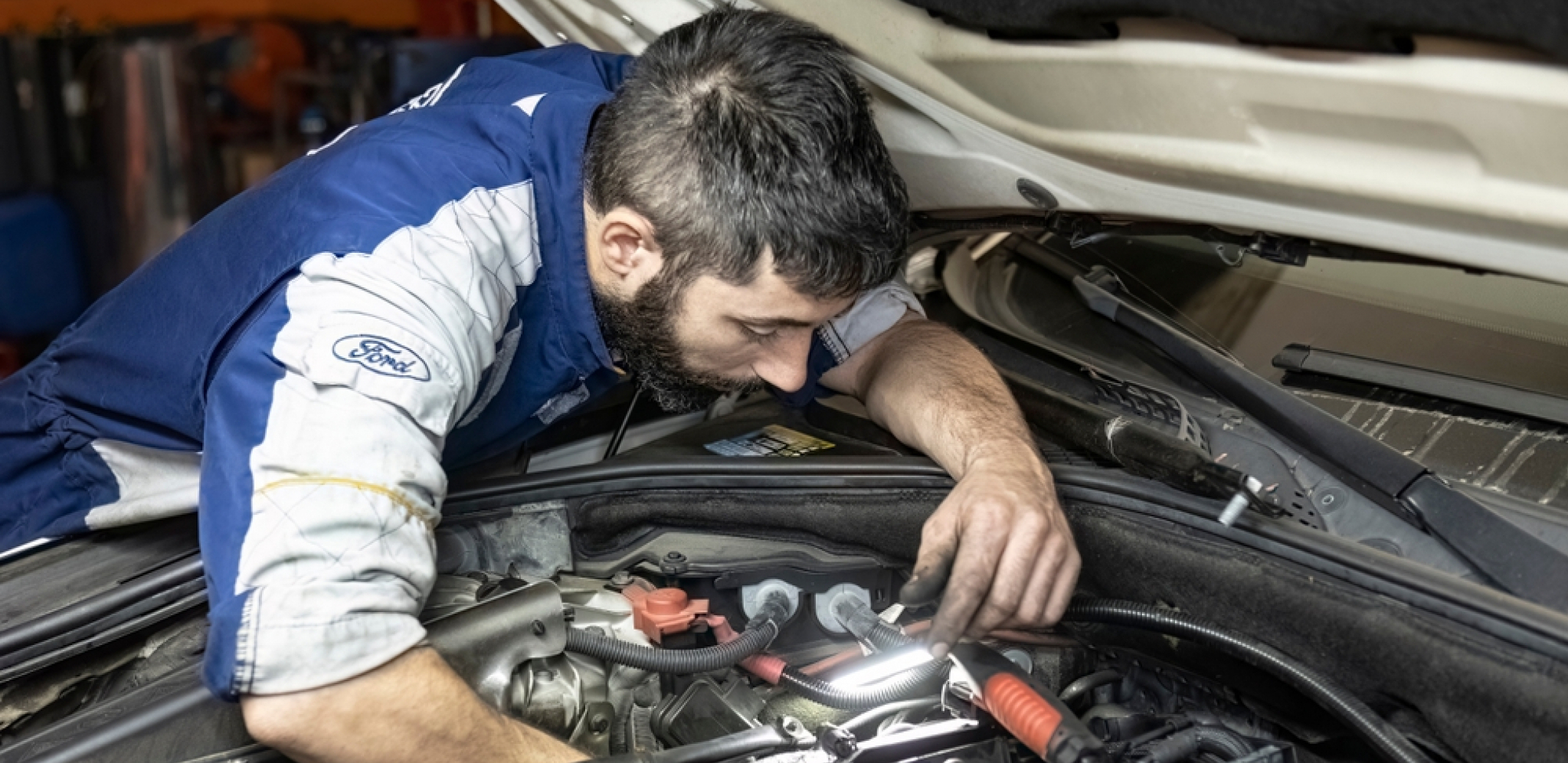 Foto: Filippo Carlot / Shutterstock.com