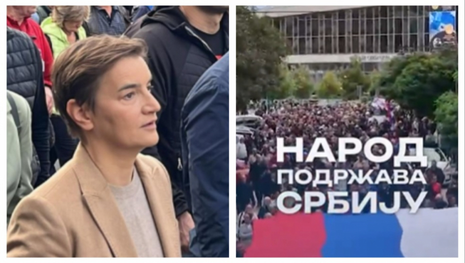 Ana brnabić
