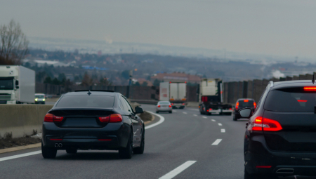Neverovatan video u kom se policajci obračunavaju sa divljom životinjom koja je zalutala na auto-put, postao je viralan na mrežama.